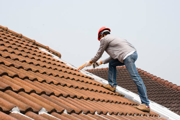 4 Ply Roofing in Diaz, AR