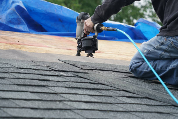 Best Roof Ventilation Installation  in Diaz, AR